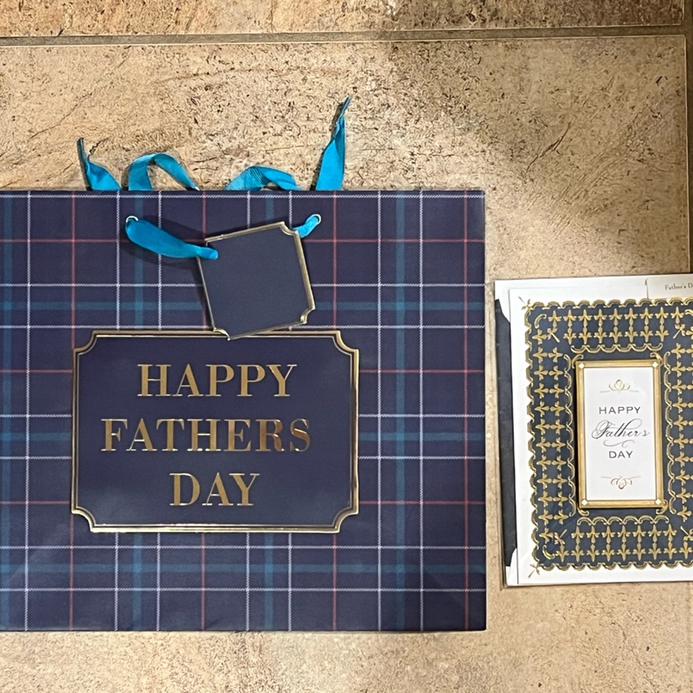 Blue Plaid Father's Day Gift Bag by Graphique and Greeting Card by Anna Griffin